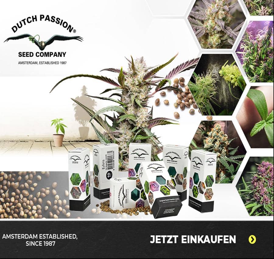 Cannabis Samen online bestellen